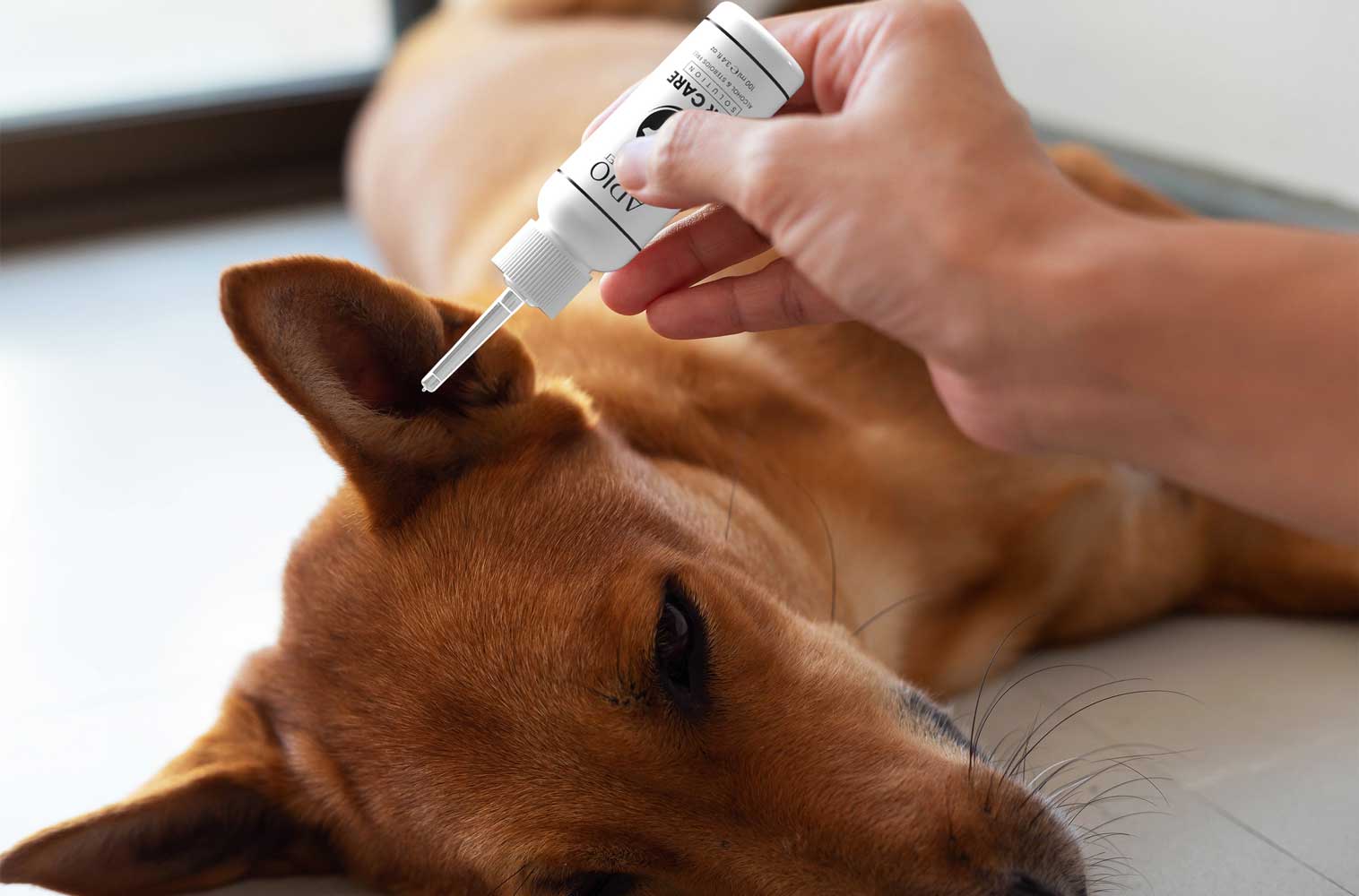 Veterinary - Ear Care - Lifestyle