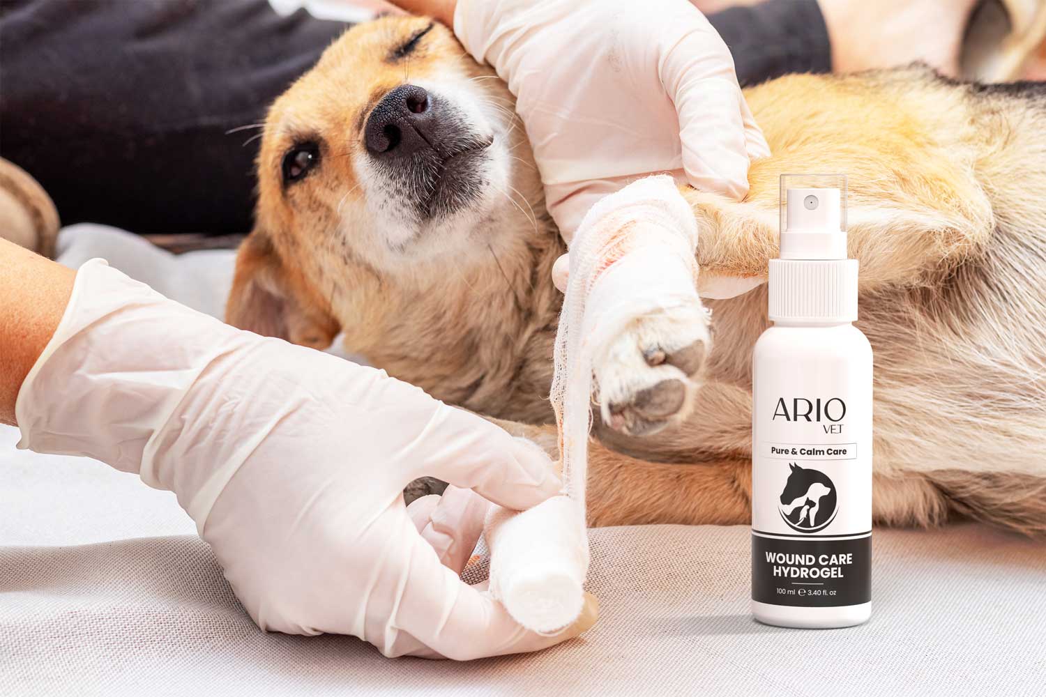 Veterinary - Wound Care Hydrogel - Lifestyle